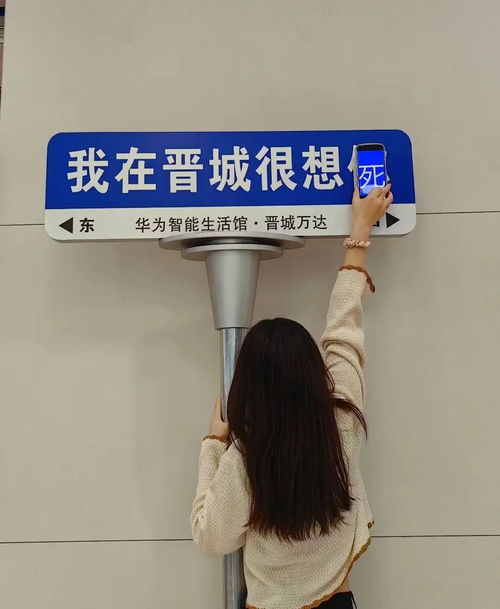 土又怎么样，网红路牌还是卖爆了 上海女老板年销千万的背后