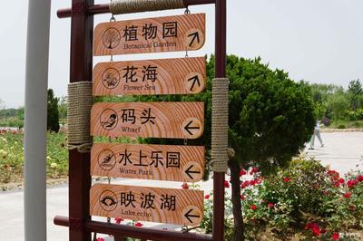 速派的闲适生活 路牌下的悠然时光